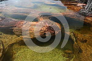 Ponds on Roraima photo