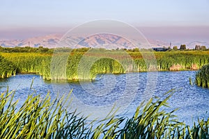 Ponds at sunset in Coyote Hills Regional Park; on the background smoke from Soberanes fire is visible, Fremont, San Francisco bay