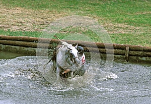 Poney Race, Rider Falling photo