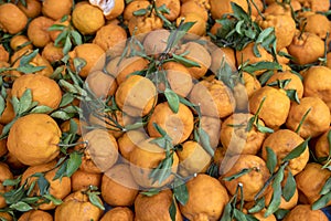 Ponkan fruits photo