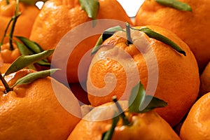 Ponkan tangerines in a fruit bowl on the table. Mandarin ponkan. Selective focus photo
