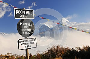 Ponn Hill public visitors park area, Ghorepani, Dhaulagiri massif, Himalaya Nepal