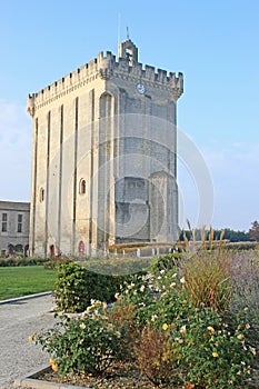 Pons Castle, France