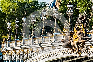 Pont Alexandre III paris city France