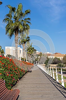 Pont de les Flors bridges that crosses the Jardin del Turia of Valencia