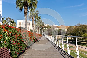 Pont de les Flors bridges that crosses the Jardin del Turia of Valencia