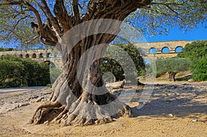 Pont du Gard