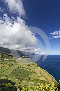 Ponta da Queimada Viewpoint photo