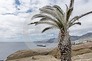 Ponta de Sao Lourenco