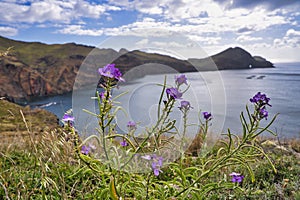 Ponta de Sao Lourenco, Madeira,Portugal. Beautiful scenic mountain view of green landscape,cliffs and Atlantic Ocean