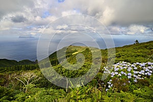 Ponta Ruiva (Flores island) Azores, Portugal