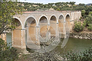 Ponte de ardilla in portugal photo