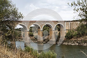 Ponte de ardilla in portugal photo