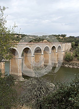 Ponte de ardilla in portugal photo