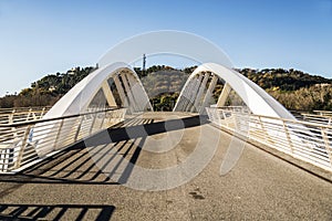 Ponte della Musica photo