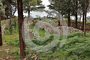 Pontone - Ruderi del Castello di Scalella su Monte Aureo photo
