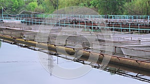 Pontoon sturgeon fish farm on a fresh water river