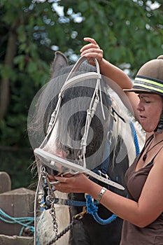 Pony bridle