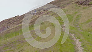 Pony Highland Trekking, Scotland, UK