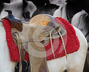 Pony Ride Saddle