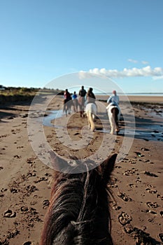 Pony trekking on a beach