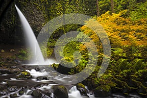 Ponytail falls, autumn, Columbia Gorge, Oregon