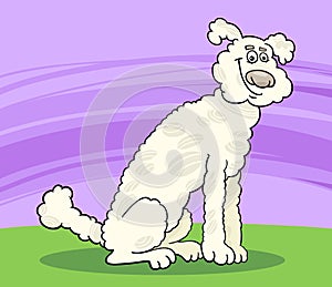 Poodle dog cartoon illustration