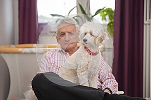 Poodle dog and elderly man in the living room