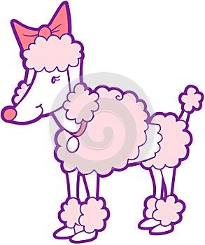 Poodle Dog Vector