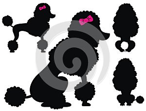 Poodle dog vector silhouettes