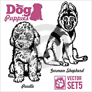 Poodle and German Shepherd - Dog Puppies. Vector set. Funny dogs puppy pet characters different breads doggy