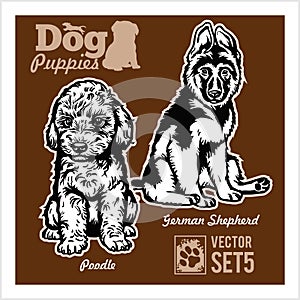 Poodle and German Shepherd - Dog Puppies. Vector set. Funny dogs puppy pet characters different breads doggy