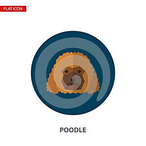 Poodle head vector flat icon on turquoise circular background.