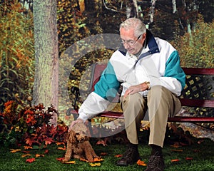 Poodle in the Park