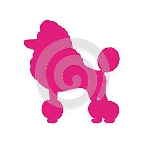 Poodle silhouette in pink color, cute dog