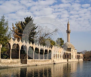 Pool of Abraham with Sacred Fish Balikli Gol in Urfa, famous turist and religion center in South East Turkey