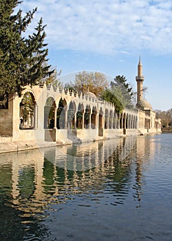 Pool of Abraham with Sacred Fish known as Balikli Gol in Turkish in Urfa, famous turist and religion center in South East Turkey