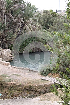 Pool of Ancient Dam at Nahal Taninim Brook Nature Reserve, Israel