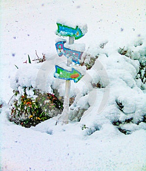 Pool barbque and drinks mini signpost covered in snow with more snow coming down photo