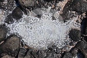 Pool of evaporating ocean water photo