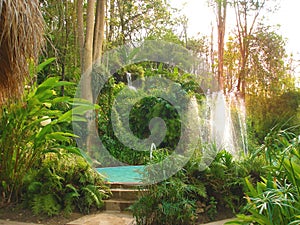 Pool with fontain in the backyard garden. Tropical garden