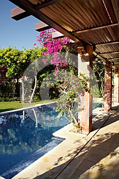 Pool in garden