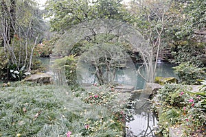 The pool garden in wuhou temple, adobe rgb