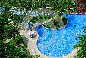 Pool of Golden Palm Resort