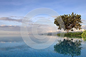 Pool at lake manyara Tanzania photo