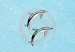 Pool Mosaic Dolphins