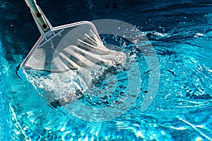 Pool Net Leaf Skimmer Rake in summer