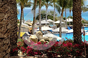 Pool and ocean at resort in Cabo San Lucas, Mexico