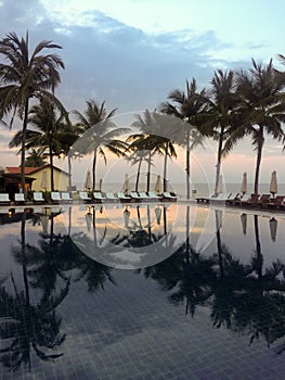 Pool with palm trees