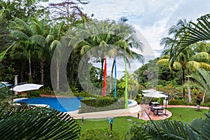 Pool in the rain forest